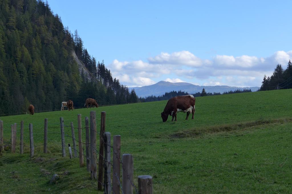 Haus Salzburgerland Appartement Mauterndorf  Buitenkant foto
